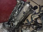 Golf 4 1.4 și 1.6