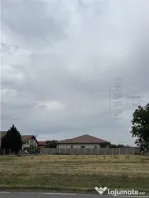 Teren SERVICII - MOSNITA VECHE- Toate utilitatile str asfal