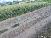 Teren intravilan in Reuseni, comuna Udesti 