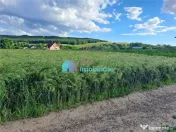 Teren intravilan in Reuseni, comuna Udesti 
