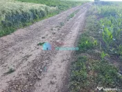 Teren intravilan in Reuseni, comuna Udesti 