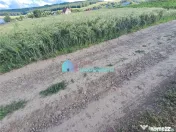 Teren intravilan in Reuseni, comuna Udesti