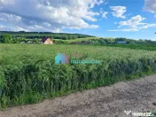 Teren intravilan in Reuseni, comuna Udesti