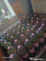 Miere de albine de salcam, rapita si poliflora