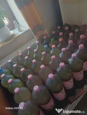 Miere de albine de salcam, rapita si poliflora 