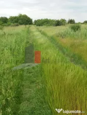 Teren Buftea cu iesire la lac 