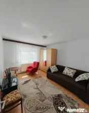Apartament 1 camere zona Vasile Aaron 