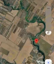Teren la Balta La Gropi Berceni, Vidra, Ilfov 