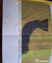 Teren la Balta La Gropi Berceni, Vidra, Ilfov 