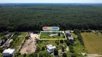 Teren intravilan 5000 mp Snagov Ciofliceni 