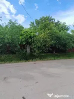 Vand casa locuibilă Izvoarele