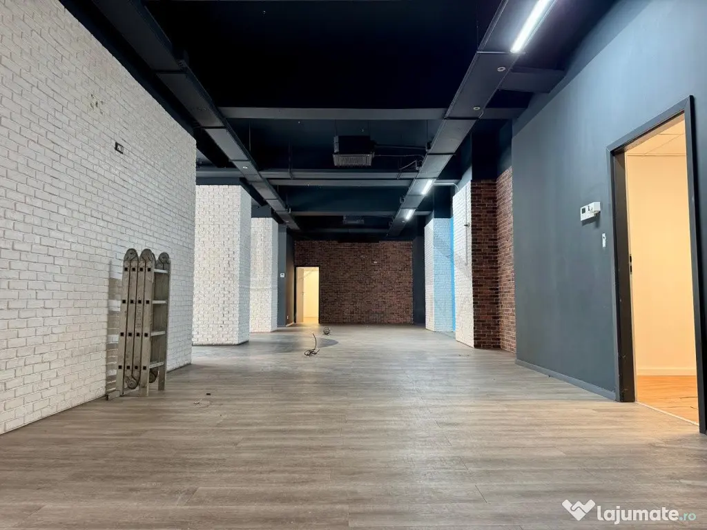Spatiu comercial Calea Mosilor