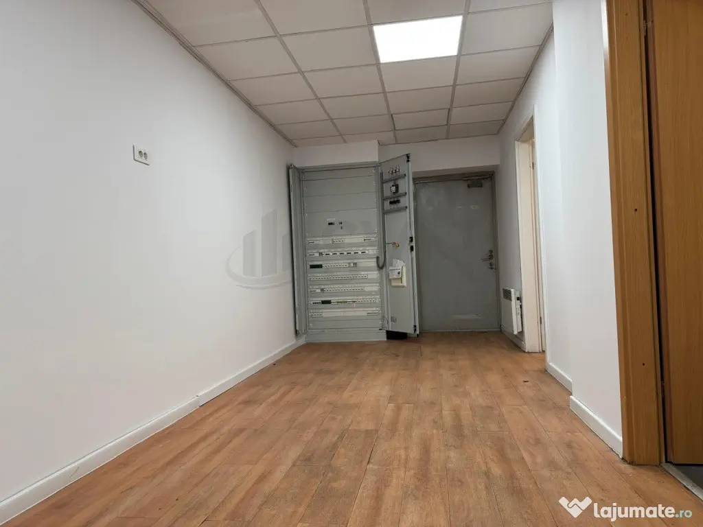 Spatiu comercial Calea Mosilor