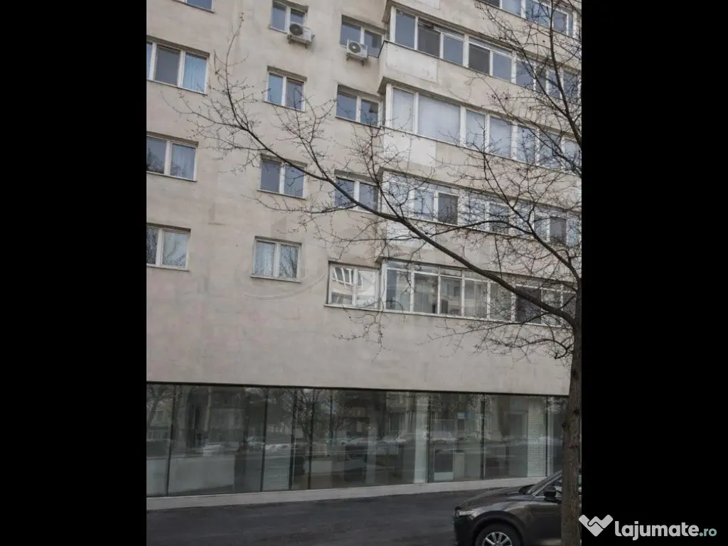 Spatiu comercial Calea Mosilor