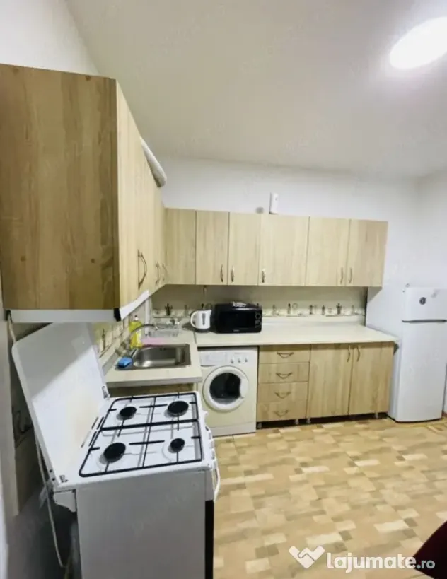 Garsonieră la curte de închiriat - zona Timpuri Noi