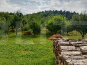 Casă familială cu curte și grădină, sat Mărcus, com. D 