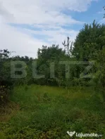 Teren 2.500 mp, Șos. Bârnova, la 1 km de Șos. Bucium