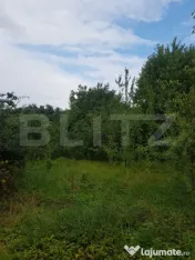 Teren 2.500 mp Șos. Bârnova, la 1 km de Șos. Bucium | 300 