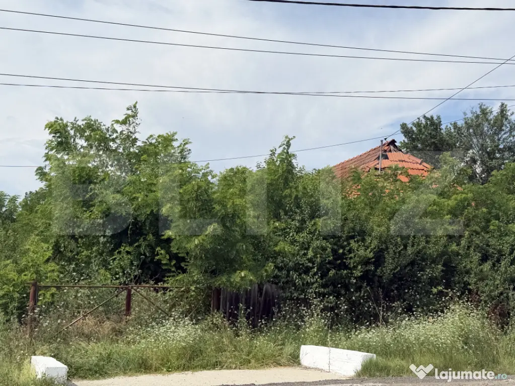 Teren 5000 mp , zona Dragoieni