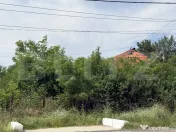 Teren 5000 mp , zona Dragoieni 