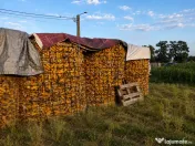 Vând porumb știuleți soi Ciocăntin (sticlos) – bine uscat – aprox. 7 tone 