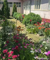 Vand casa cu garaj si teren + anexe