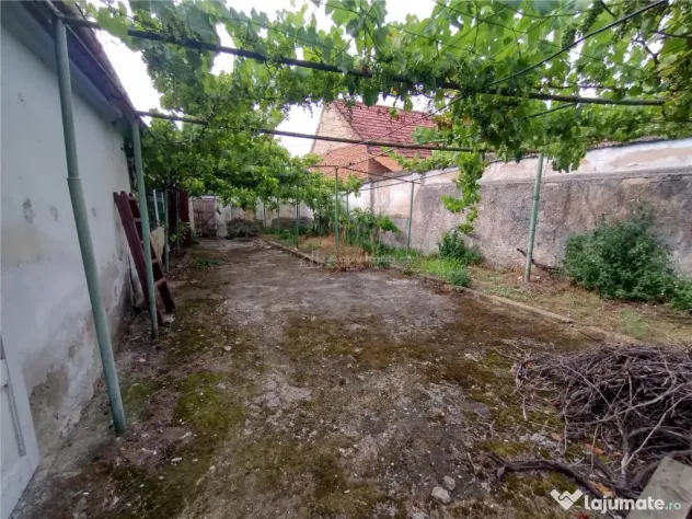 Socol | Casa 7 Camere | Parter Pod | 546MP Teren