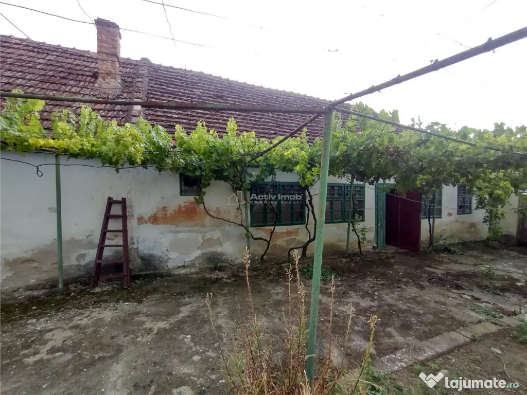Socol | Casa 7 Camere | Parter Pod | 546MP Teren