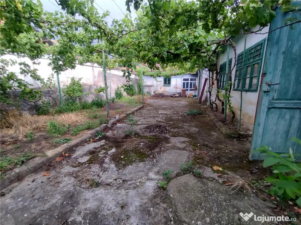 Socol | Casa 7 Camere | Parter Pod | 546MP Teren