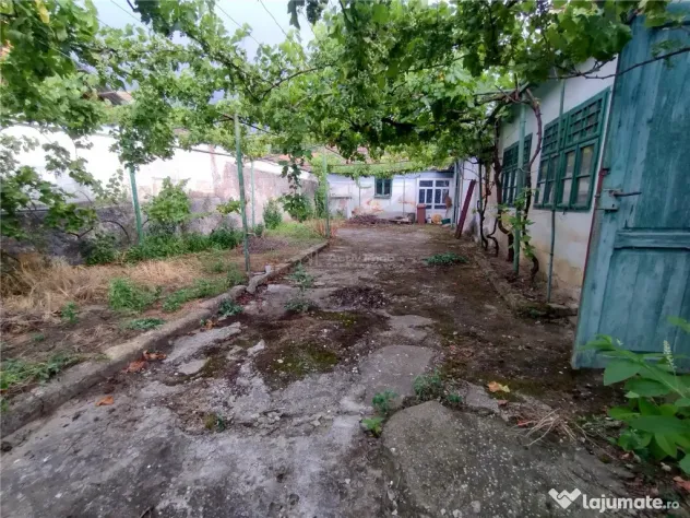 Socol | Casa 7 Camere | Parter Pod | 546MP Teren