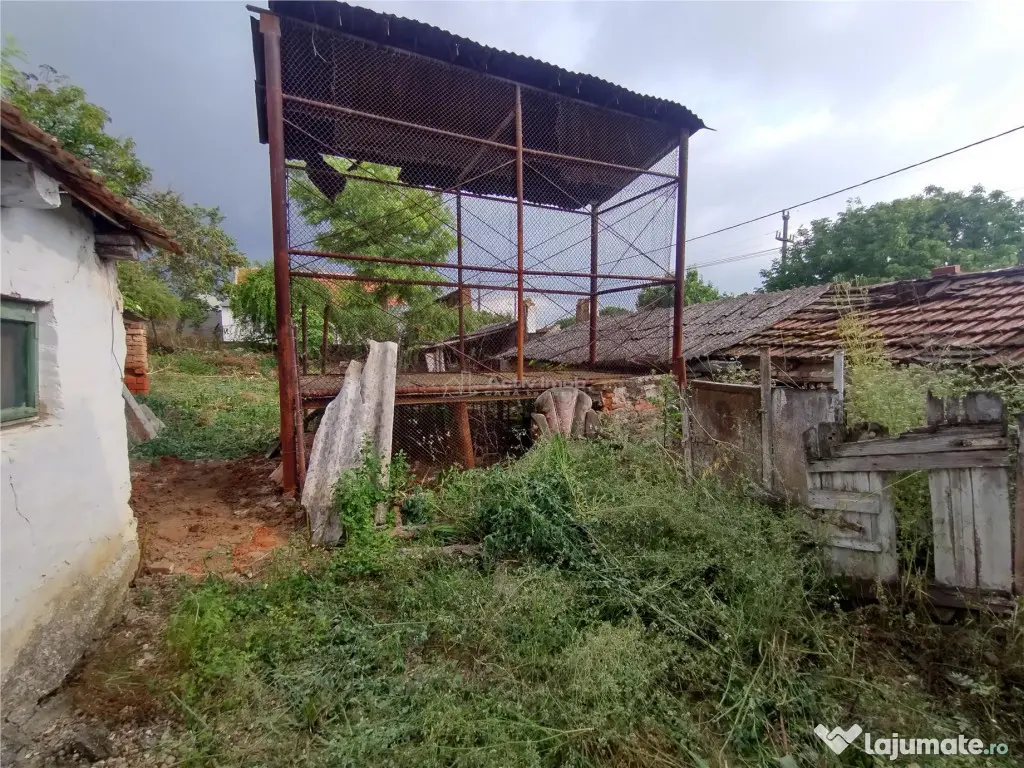 Socol | Casa 7 Camere | Parter Pod | 546MP Teren