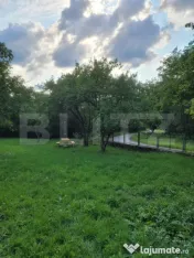 De vanzare casa de 135 mp si 5 hectare de teren, langa Deva 
