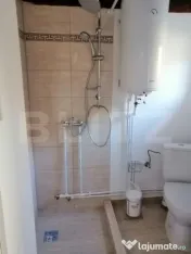 De vanzare casa de 135 mp si 5 hectare de teren, langa Deva 