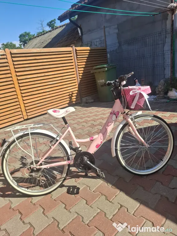 Bicicleta în stare perfecta