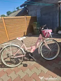 Bicicleta în stare perfecta