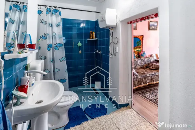 Casă renovată cu teren de 1.425 mp de vânzare în Năsal, com. Țaga