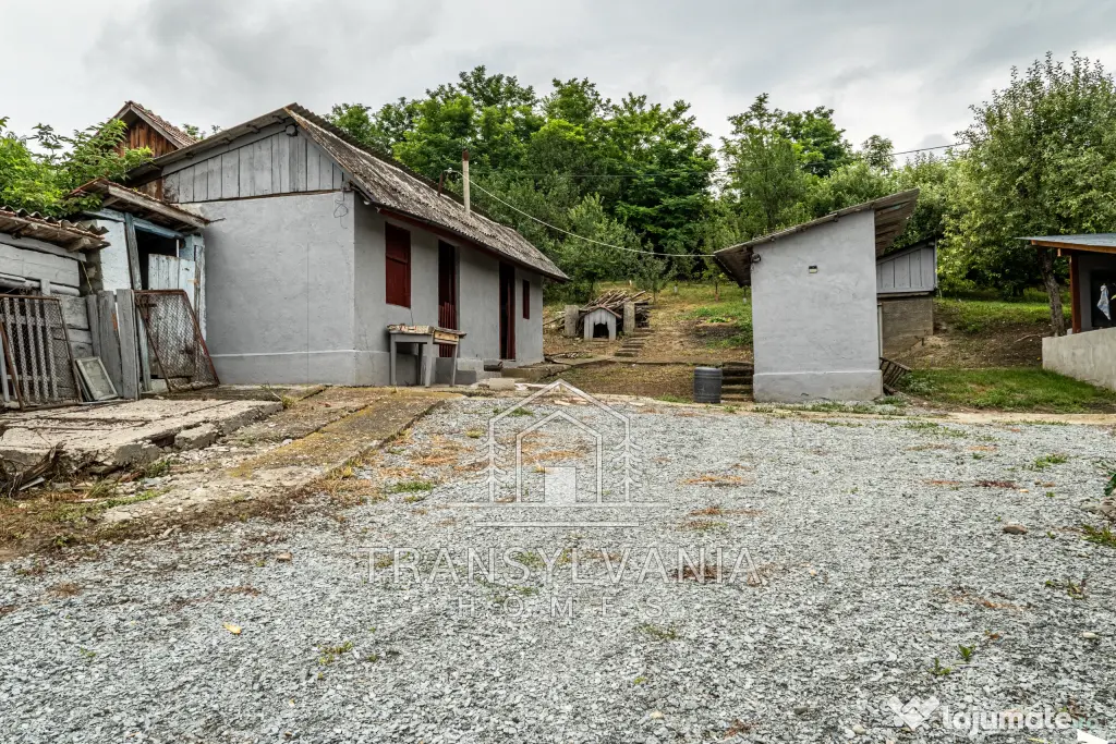 Casă renovată cu teren de 1.425 mp de vânzare în Năsal, com. Țaga