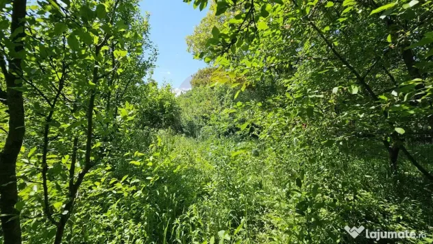 Casă / Vilă în zona Zamca, Suceava