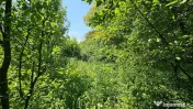 Casă / Vilă în zona Zamca, Suceava