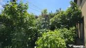 Casă / Vilă în zona Zamca, Suceava