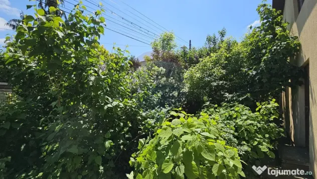 Casă / Vilă în zona Zamca, Suceava