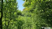 Casă / Vilă în zona Zamca, Suceava