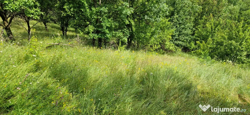 Vând teren intravilan, comuna Șotrile, județul Prahova 2034mp