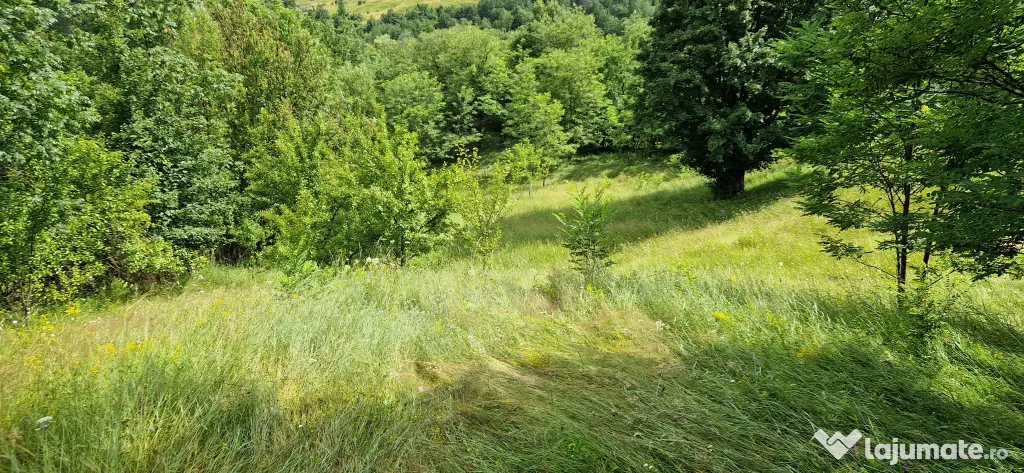 Vând teren intravilan, comuna Șotrile, județul Prahova 2034mp