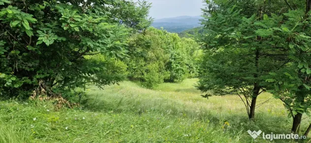 Vând teren intravilan, comuna Șotrile, județul Prahova 2034mp