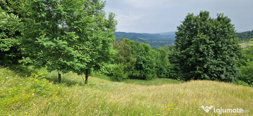Vând teren intravilan, comuna Șotrile, județul Prahova 2034mp
