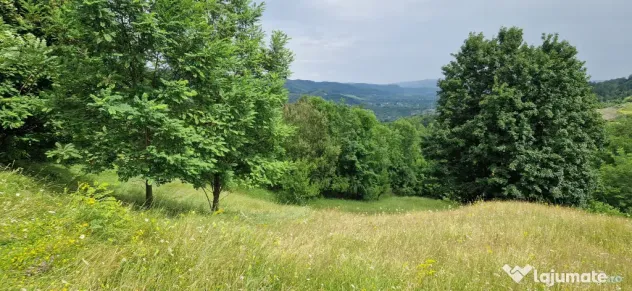 Vând teren intravilan, comuna Șotrile, județul Prahova 2034mp