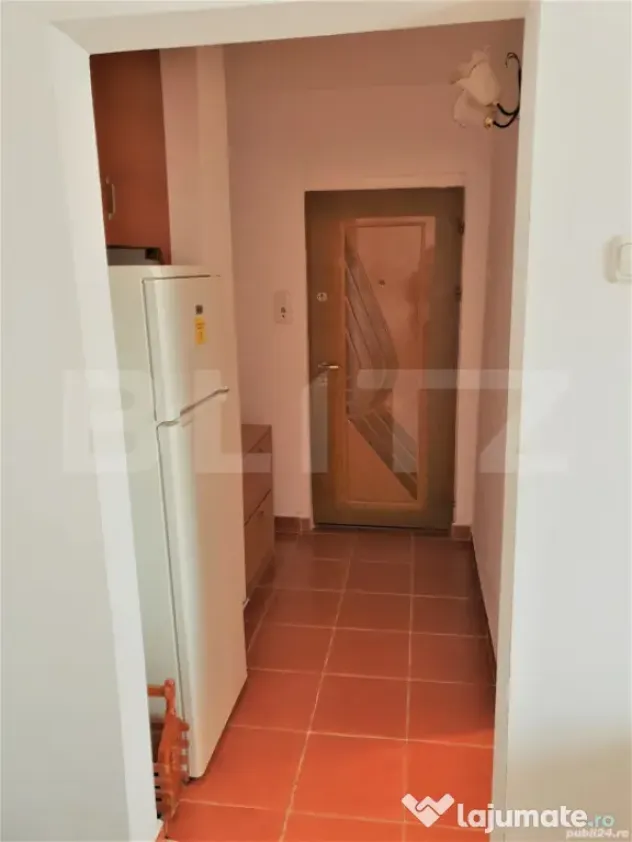 Garsonieră cu 1 cameră, zona Lipovei, PRET AVANTAJOS!!!!