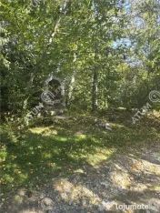 Teren intravilan 5134 mp pe Valea Lotrului in Com Malaia/Ciu 