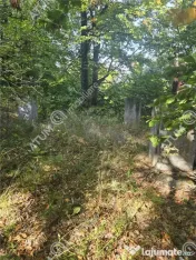 Teren intravilan 5134 mp pe Valea Lotrului in Com Malaia/Ciu 